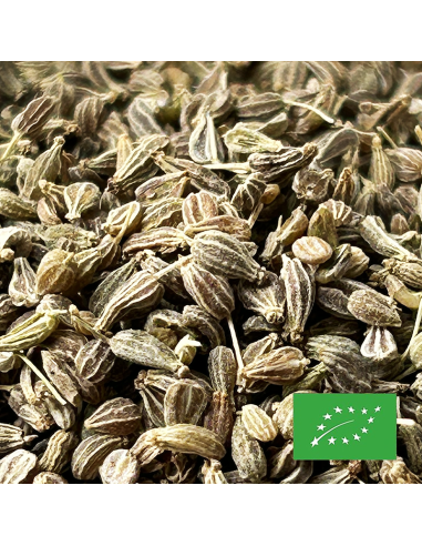 découvrez les bienfaits des graines d'anis pour la santé et nos conseils pratiques pour bien les utiliser dans votre alimentation et vos remèdes naturels.