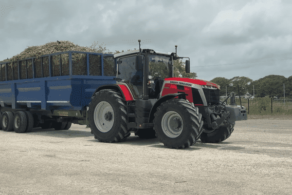 découvrez tout sur le bâton de sucre tendance en 2025 : usages, innovations, recettes et conseils pour profiter de cette douceur incontournable.