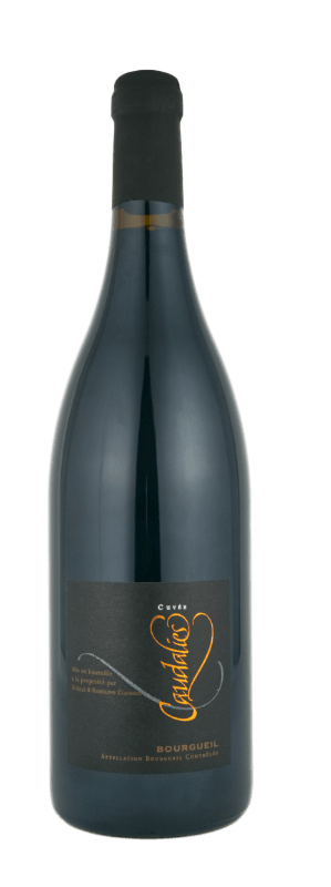 découvrez les caractéristiques du bourgueil 2021 : un vin rouge de la loire, aux arômes fruités et à la belle fraîcheur. idéal pour accompagner viandes et fromages. infos dégustation, robe, nez et accords mets-vins.