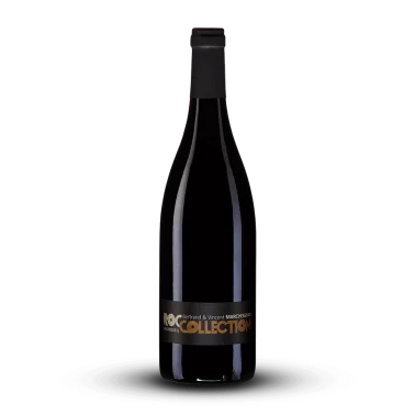 découvrez les caractéristiques du bourgueil 2021 : un vin rouge de loire aux arômes fruités, notes de fruits rouges, fraîcheur et élégance. idéal pour accompagner viandes et fromages.