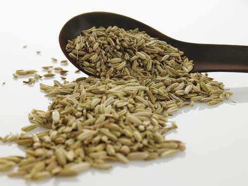 découvrez les bienfaits du cumin : cette épice aux vertus digestives et antioxydantes soutient la santé, booste le système immunitaire et parfume délicieusement vos plats.