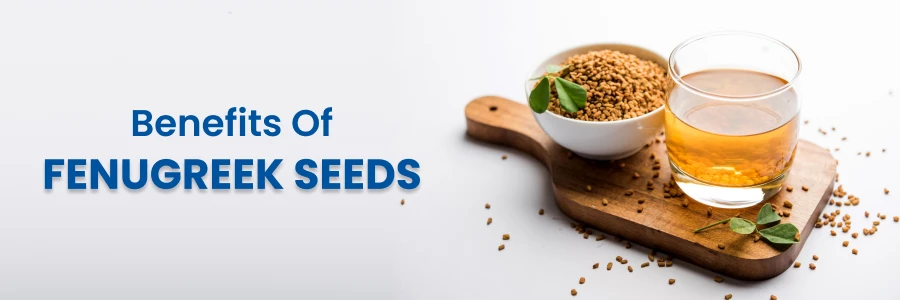 découvrez les bienfaits du fenugrec : propriétés nutritionnelles, effets sur la digestion, prise de masse, équilibre hormonal et conseils d’utilisation pour profiter de ses vertus santé.