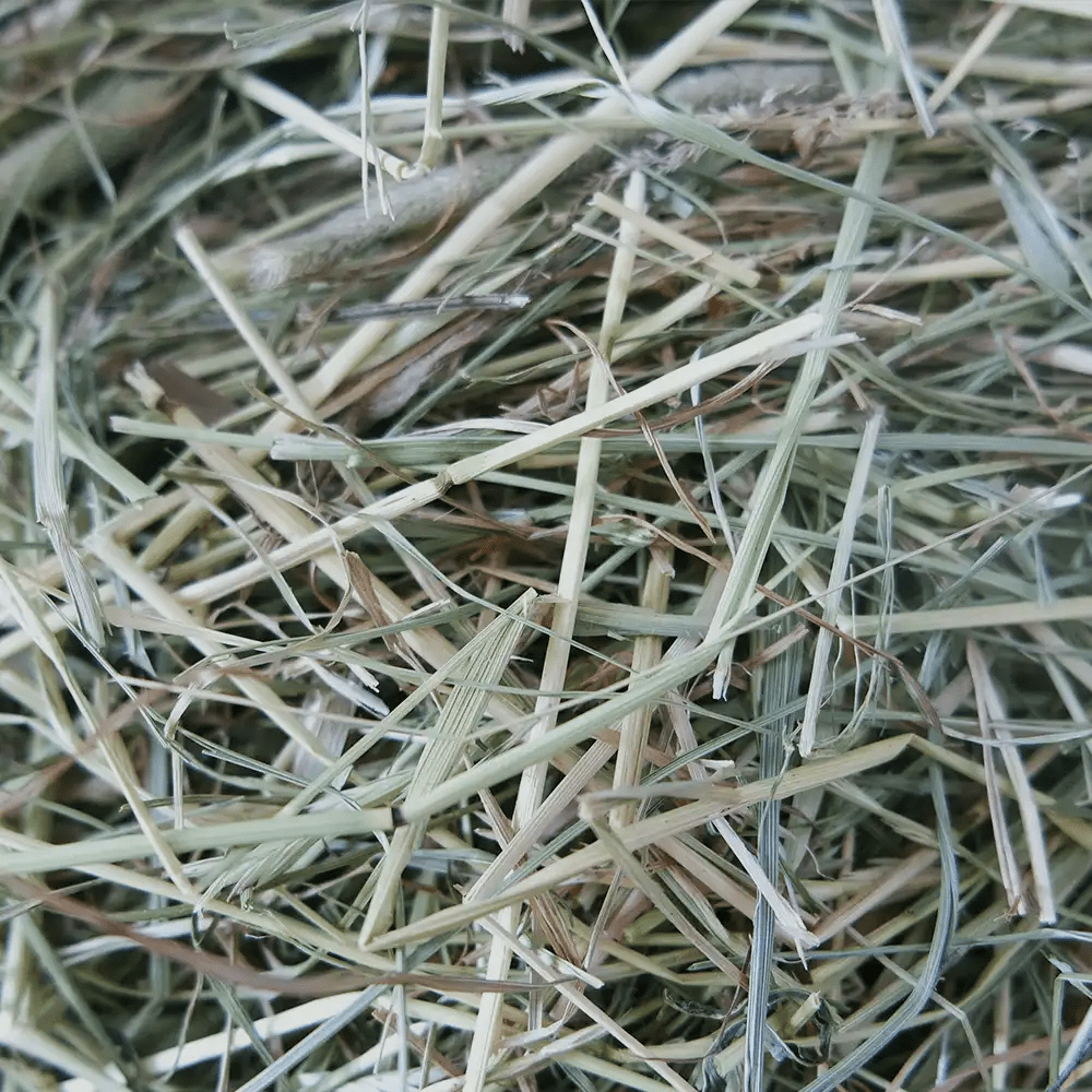 découvrez notre foin bio de normandie 2025, issu d’une agriculture responsable et respectueuse de l’environnement. qualité premium pour l’alimentation animale. livraison partout en france.