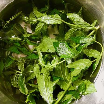 réalisez facilement votre gelée de menthe maison : une recette simple, fraîche et parfumée, idéale pour accompagner vos plats ou desserts. conseils, astuces et ingrédients naturels.