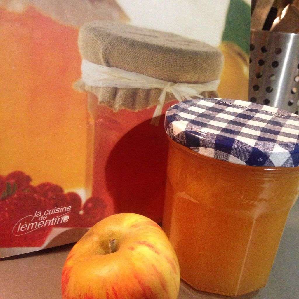 découvrez notre recette de gelée de pomme facile pour 2025 : simple, rapide et délicieuse, idéale pour profiter de la saveur des pommes toute l'année.