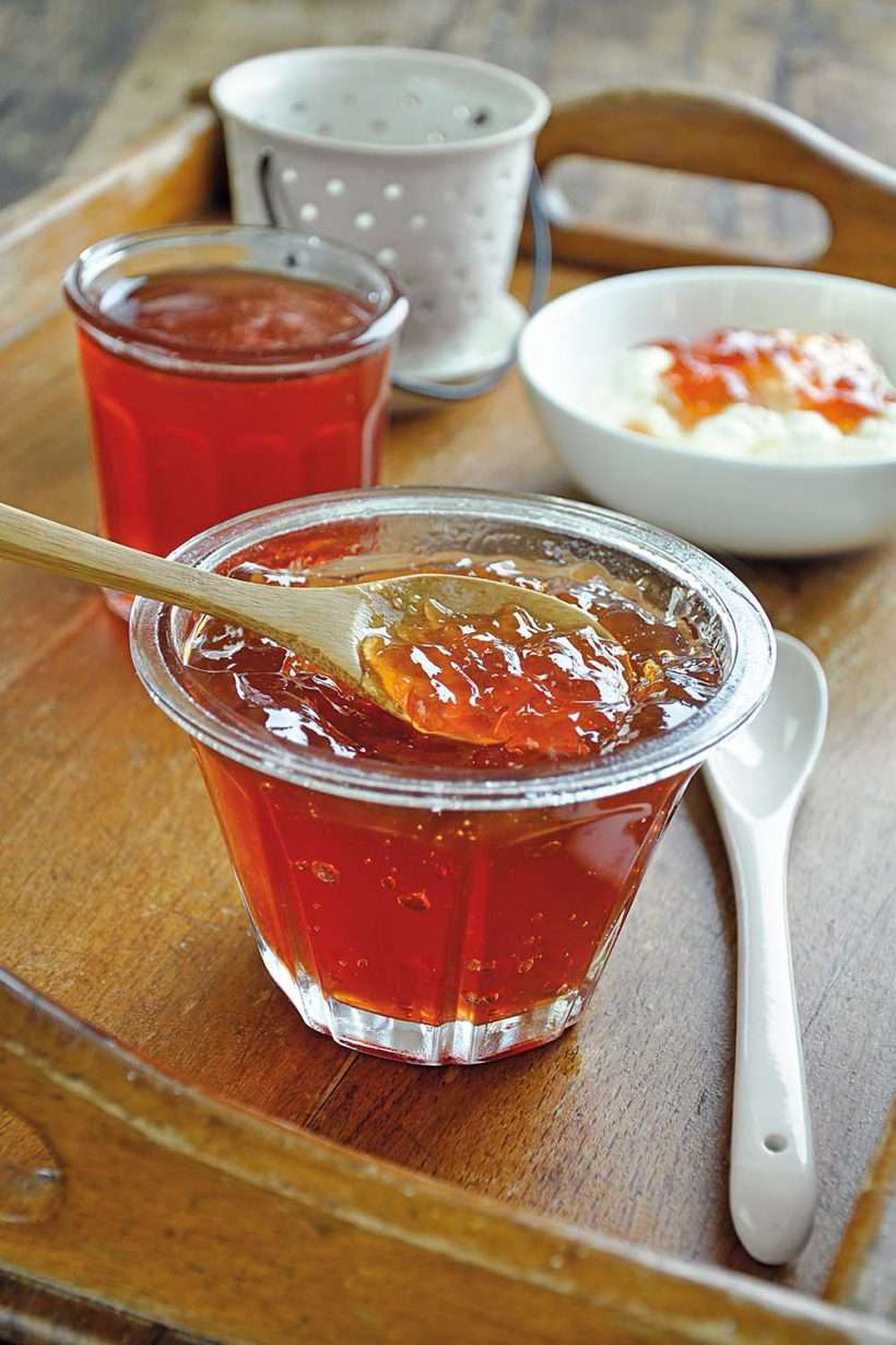 découvrez notre recette facile de gelée de pommes pour 2025 : simple à préparer, savoureuse et idéale pour profiter pleinement des pommes de saison !