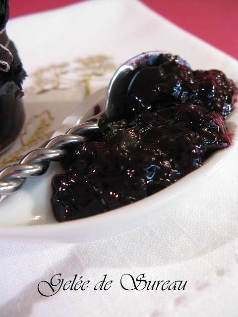 découvrez comment préparer une gelée de sureau facile et savoureuse avec cette recette simple, idéale pour accompagner vos tartines et desserts. parfaite pour profiter des bienfaits du sureau à la maison !