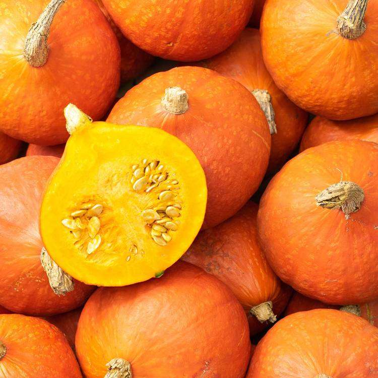 découvrez tout sur le potimarron : ses bienfaits pour la santé, des idées de recettes gourmandes et des conseils pour bien le cuire et le conserver. savourez ce légume d'automne aux saveurs douces et parfumées !