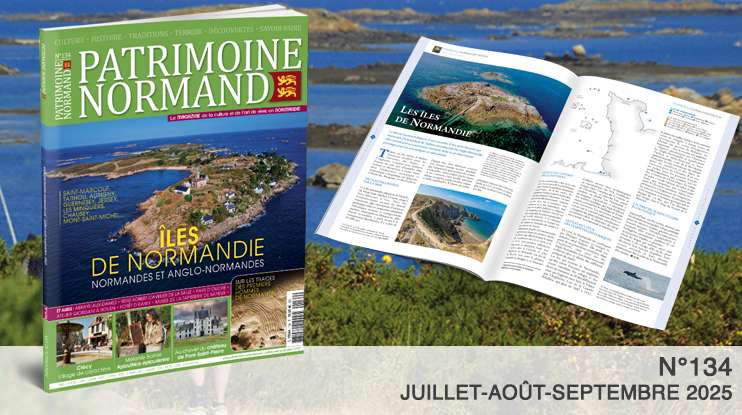 découvrez tout sur le sable normand en 2025 : caractéristiques, utilisations, prix, et tendances du marché. informations essentielles pour professionnels et particuliers.