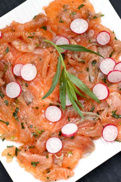 découvrez une recette de saumon à l’estragon facile, rapide et savoureuse, parfaite pour un repas sain et plein de saveurs en toute simplicité.