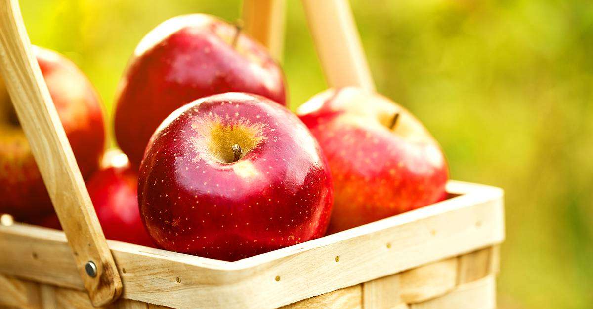 découvrez les secrets du cidre : son histoire, ses méthodes de fabrication et les astuces pour bien le déguster. explorez les saveurs uniques de cette boisson artisanale.