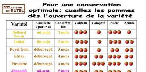 découvrez tout sur le sucre de pommes en 2025 : bienfaits, utilisations, fabrication et tendances. un substitut sain et naturel au sucre classique, idéal pour vos recettes gourmandes !