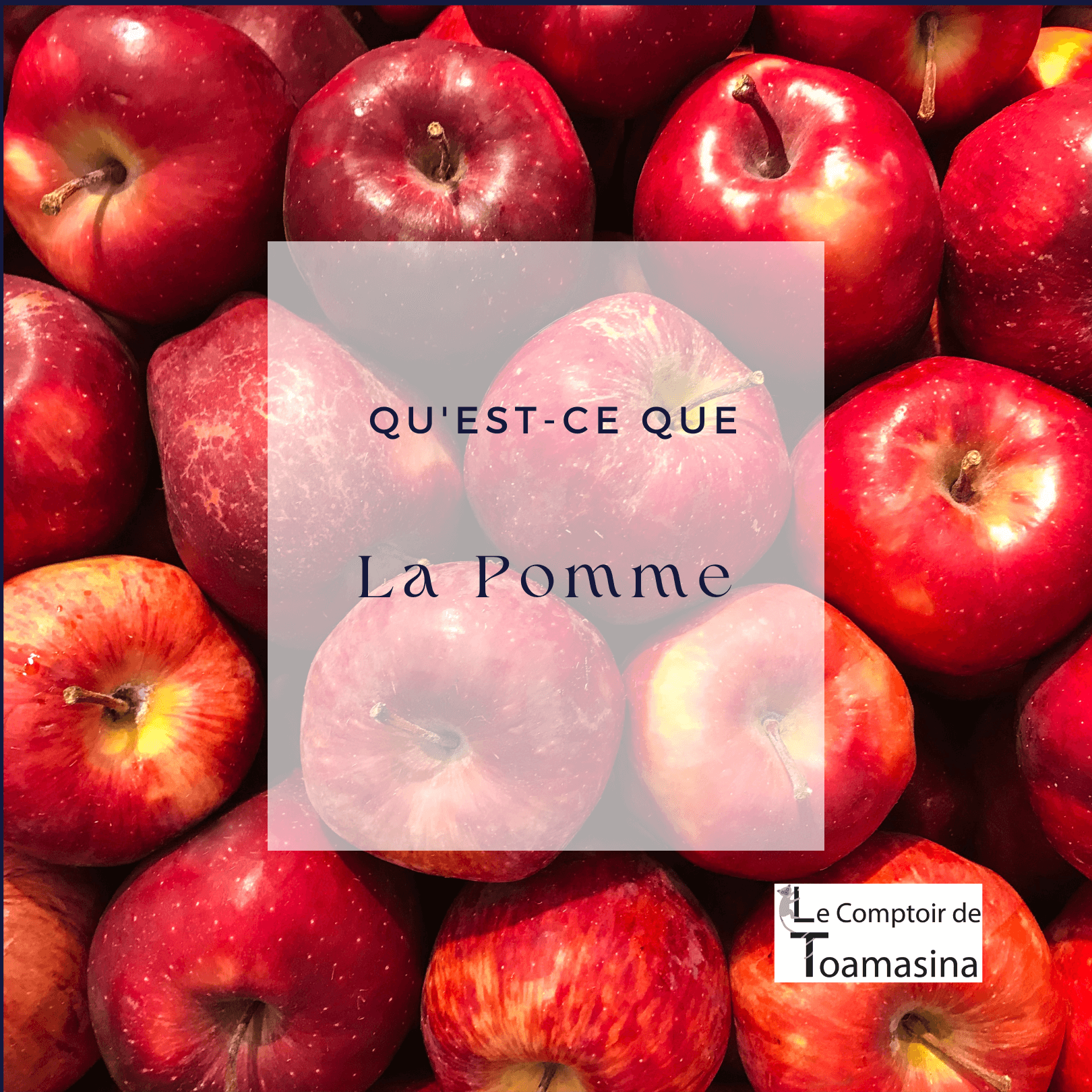 découvrez les bienfaits du sucre de pomme pour la santé et explorez des recettes savoureuses pour l'intégrer dans votre alimentation quotidienne.