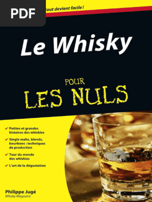 découvrez la biographie de thor boyo, artiste au talent unique, et explorez son impact musical sur la scène francophone. plongez dans son parcours, ses influences et son héritage culturel.