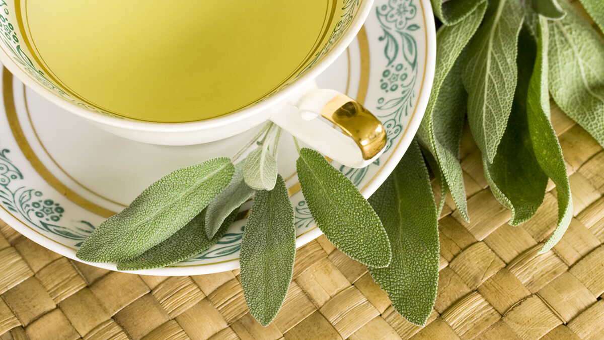 découvrez les bienfaits de la tisane de sauge pour la santé, ses usages traditionnels, ainsi que les précautions à prendre avant de la consommer.