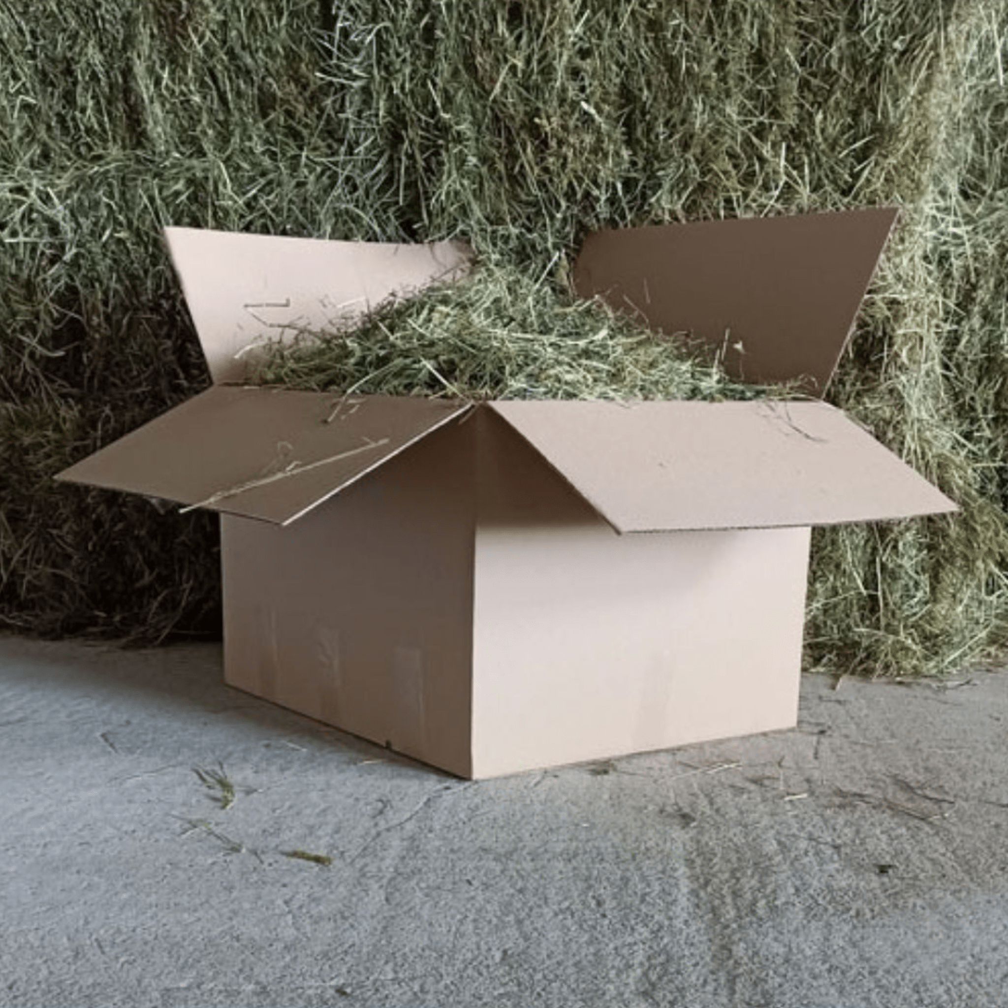 découvrez comment utiliser la pâte à foin en 2025 : conseils, astuces et applications pour l'alimentation animale, le jardinage ou la fabrication de produits naturels.