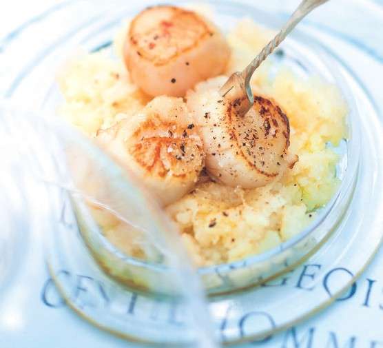 savourez un velouté de saint-jacques festif, une recette raffinée et gourmande idéale pour sublimer vos repas de fête. découvrez ce plat élégant à la texture onctueuse et aux saveurs délicates.