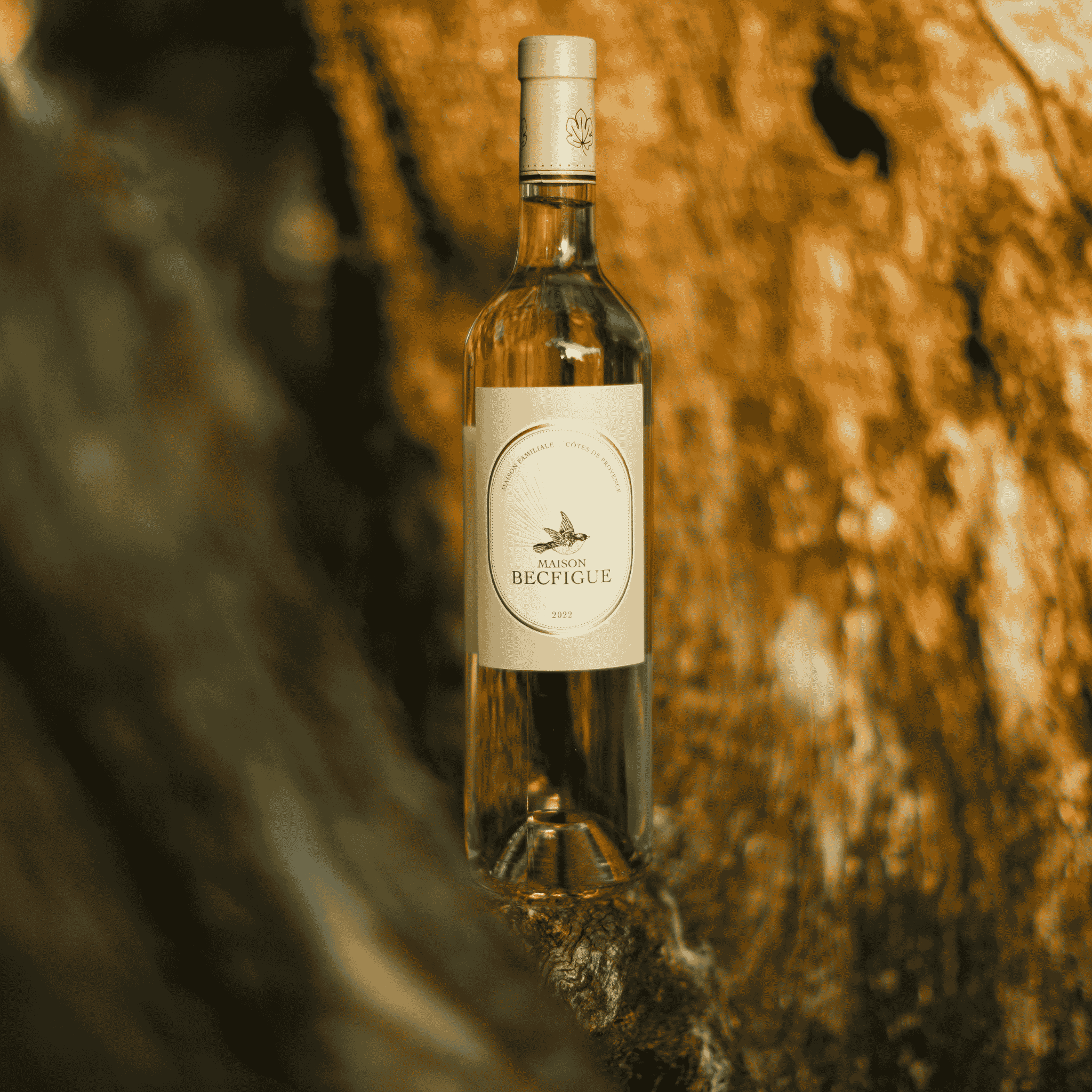 découvrez comment réaliser un délicieux vin de figue maison en 2025 grâce à nos conseils et astuces. profitez d'une recette authentique pour savourer un apéritif original et fait main.