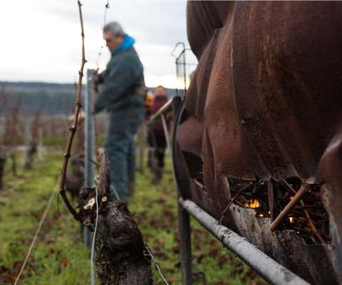 découvrez le volnay 2025, un vin rouge d'exception de bourgogne. appréciez ses arômes élégants, sa finesse et son équilibre parfait, idéal pour accompagner vos meilleurs repas.