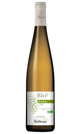 découvrez les meilleurs accords vins et bouchées pour 2025 : conseils, suggestions d’associations et idées pour sublimer vos repas et apéritifs avec les tendances œnologiques de l’année.