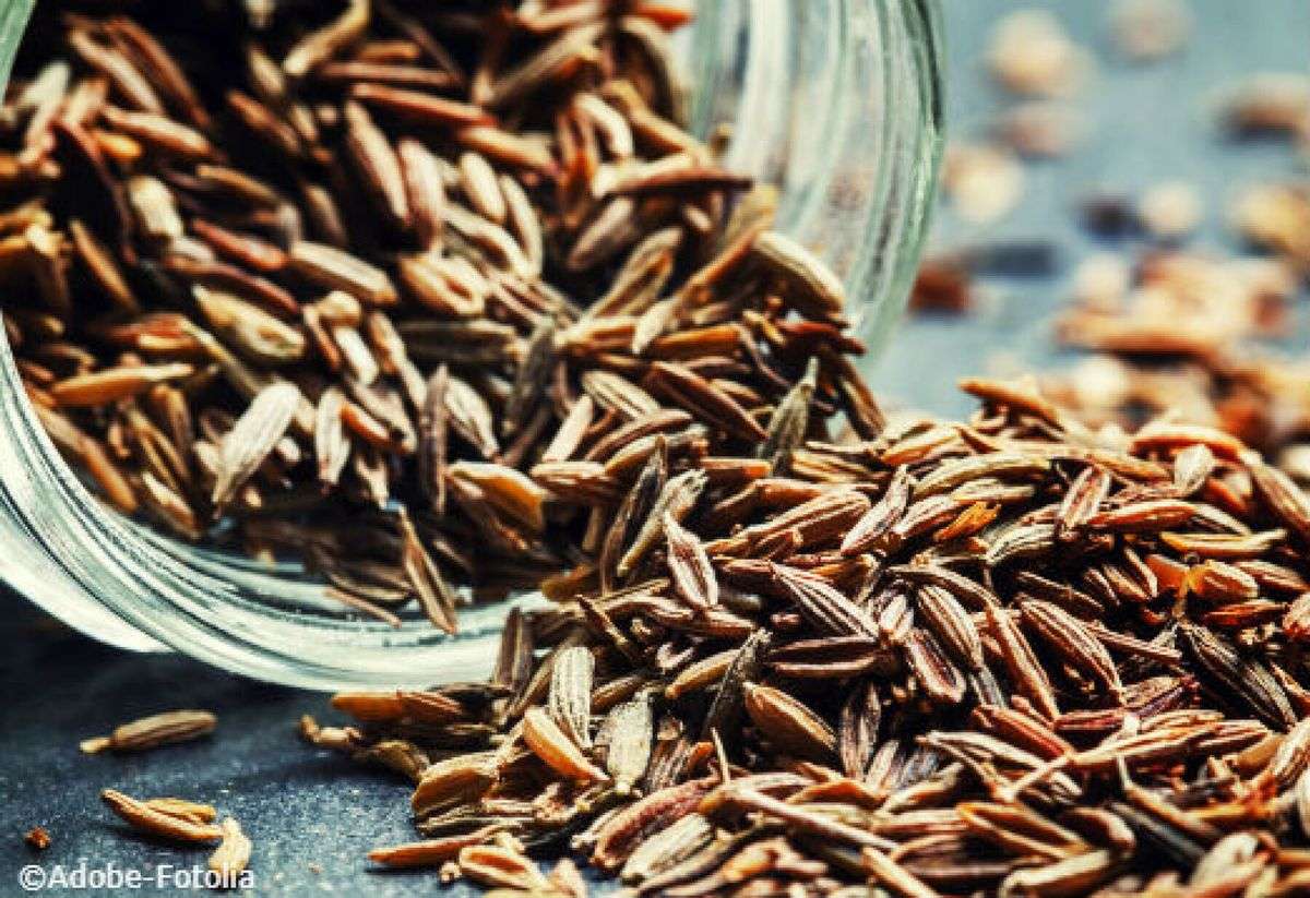 découvrez les bienfaits du cumin en grains et ses multiples usages culinaires et médicinaux pour une alimentation saine et savoureuse.