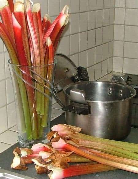 découvrez notre recette facile de confiture maison aux pêches et à la rhubarbe, délicieusement fruitée et parfaite pour vos petits déjeuners.