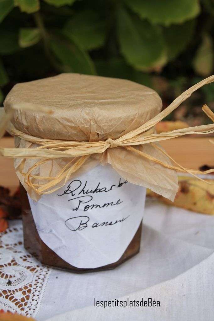 découvrez une recette facile et rapide de confiture alliant rhubarbe, banane et pomme pour un délicieux mélange fruité à tartiner.
