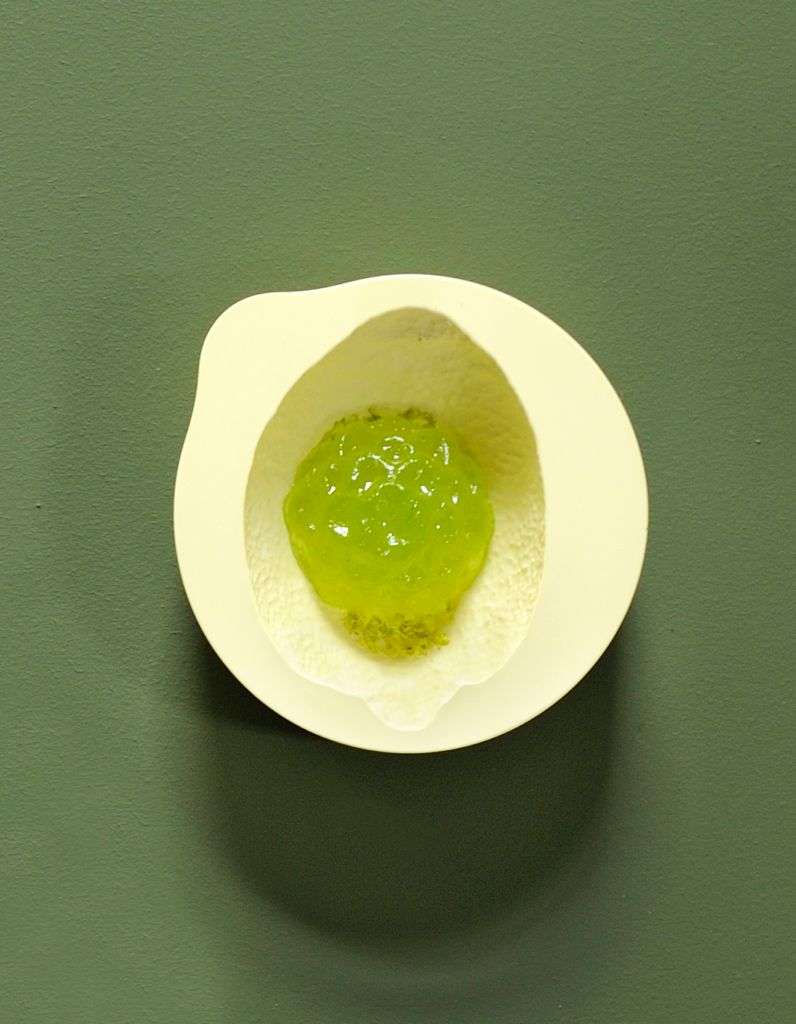 découvrez notre recette simple et rapide de gelée de menthe à l’agar-agar, une douceur rafraîchissante et naturelle à préparer facilement chez vous.