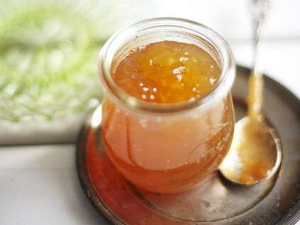 découvrez la recette facile de la gelée de sureau et ses bienfaits pour la santé. apprenez à préparer cette délicieuse confiture naturelle riche en antioxydants.