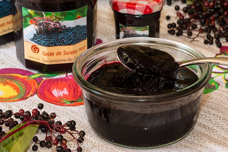 découvrez notre recette facile de gelée de sureau ainsi que ses bienfaits pour la santé, une douceur naturelle pleine de saveurs et d'antioxydants.