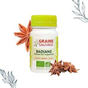découvrez les bienfaits et usages de la graine anisée en 2025 : propriétés médicinales, conseils d'utilisation et recettes santé pour profiter pleinement de ses vertus.