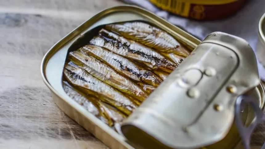 découvrez comment investir dans le secteur des sardines en 2025 et profitez des opportunités de croissance durable dans la pêche et l'aquaculture.