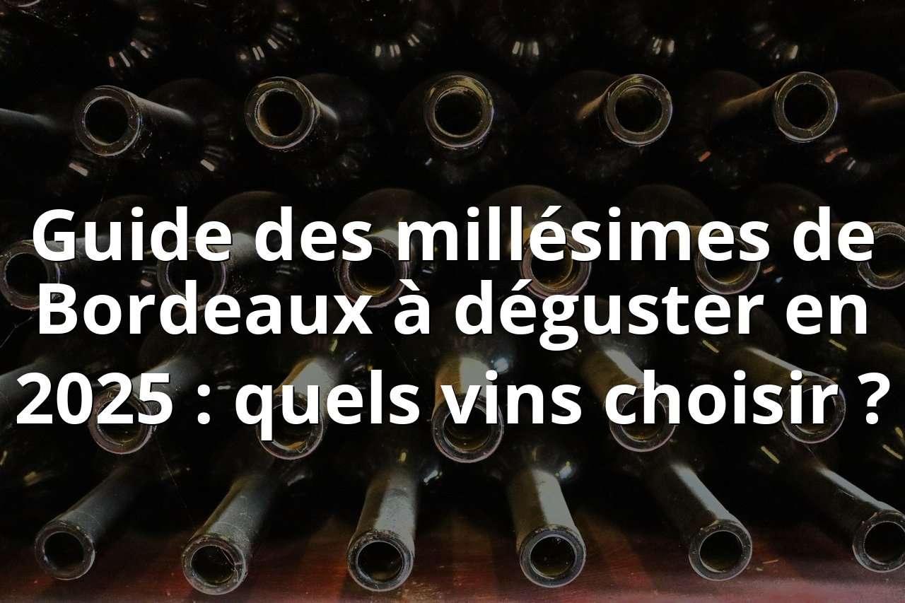 découvrez le millésime saint-émilion 2019, une cuvée d'exception à redécouvrir en 2025 pour apprécier toute sa richesse et son équilibre.