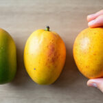 découvrez comment reconnaître facilement une mangue mûre grâce à notre guide simple et fiable pour savourer pleinement ce fruit délicieux.